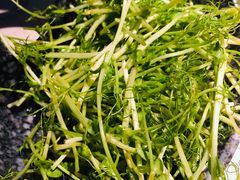 -哥老官重庆美蛙鱼头(宝山龙湖店)