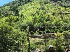 -藏龙百瀑风景区