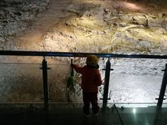 -世界恐龙谷景区