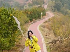 -五凤溪古镇
