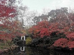 -秋霞圃