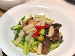 羊肚菌酿虾滑炒藕尖-榕意·川味之美(深业上城店)