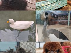 -洛阳龙门海洋馆