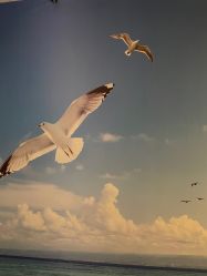 -唯伊美塑身美养连锁