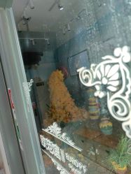 -爱儿美儿童摄影(奥森公园店)