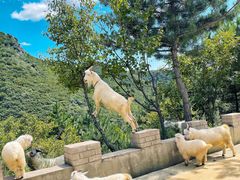 -白草畔自然风景区