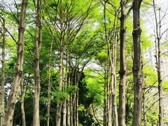 -文华公园(禅城区)