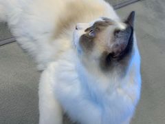 -零纪元VR体验馆·桌游(黄浦店)