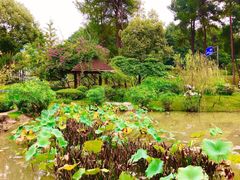 -铁山坪森林公园