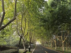 -宜兴龙背山森林公园