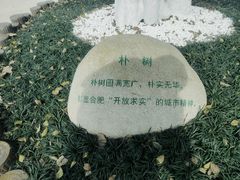 -合肥滨湖国家森林公园