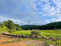 -塞罕坝国家级自然保护区