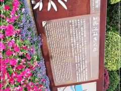 -五缘湾湿地公园