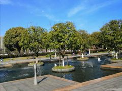 -白塘生态植物园