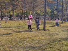 -飞凤山奥体公园