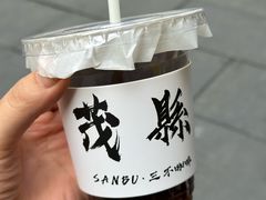 -叠溪松坪沟景区