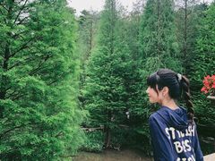 -云溪植物园