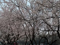 -吉林大学(南岭校区)