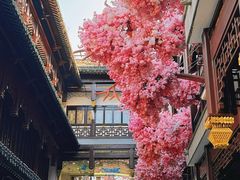 -Peet's Coffee皮爷咖啡(豫园店)