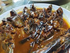 -金台阶鱼馆(于桥水库店)