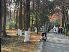 -中国湿地博物馆