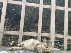 -敬亭山风景名胜区