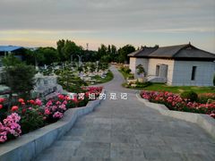 -中国唐苑