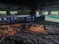 -自贡恐龙博物馆