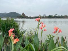-顺峰山公园