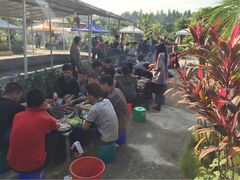 大笨象钓虾场-小象钓虾·营地烧烤(洛溪店)