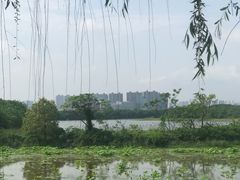 -盘龙城国家考古遗址公园