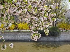 -海棠花溪(元大都城垣遗址公园)