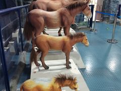 -吉林省自然博物馆