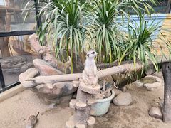 -海合安成都极地海洋公园