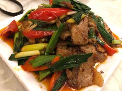 回锅肉-冯鱼头火锅(青蓝山美食一条街店)