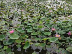 -天津东丽湖风景区