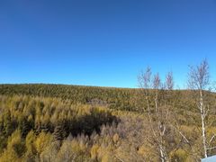 -塞罕坝国家级自然保护区