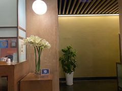 -枣子树素餐厅(铂金城店)