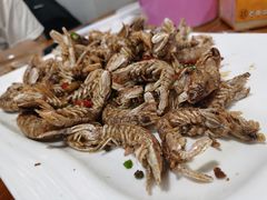 -云南巷海鲜大咖·可加工海鲜