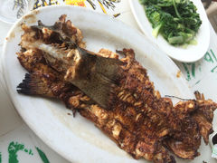 凤凰岭餐厅-凤凰岭蒙古包风味餐厅