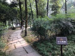 -塔子山公园