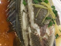 -俊江海鲜酒店(海陵岛白蒲市场店)
