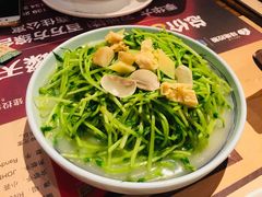 上汤豆苗-拾叁唐Livehouse(佛山禅城店)