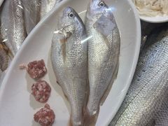 -崂山印象·青岛·海鲜渔家菜