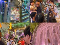-正佳雨林生态植物园