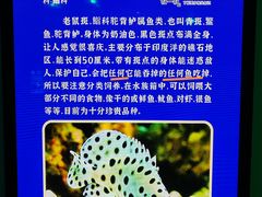 -福州罗源湾海洋世界旅游区