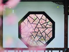 -莫愁湖公园
