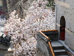 -潭柘寺景区