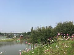-秀丽东方