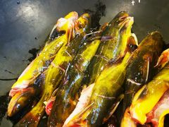 -王老六铁锅炖鱼(长春路店)